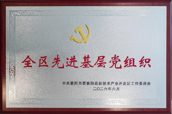 喜报｜热烈祝贺楚云机电党支部荣获“全区先进基层党组织”荣誉称号